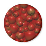 food046 refrigerator magnet