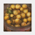 Food - Apples - Golden apples Refrigerator Magnet