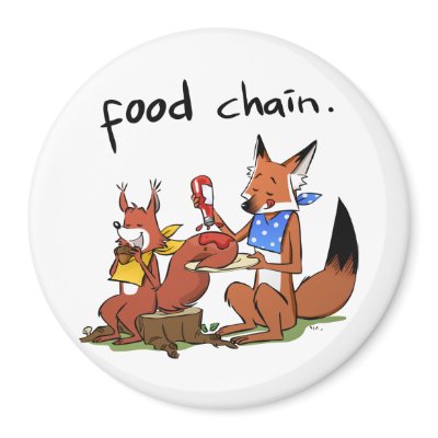 Food Chain Magnet by sandraandwoo