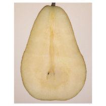 Food - Fruit - A slice of bosc pear Flyers