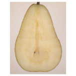 Food - Fruit - A slice of bosc pear flyers