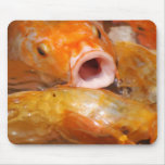 Food Goes Here Mouse Pads