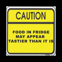 Food Illusion magnets