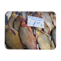 Food market in Italy Rectangle Magnet