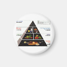 Food Pyramid Fridge Magnets