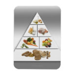 Food pyramid rectangular magnets