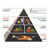 Food Pyramid Square Stickers