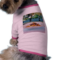 Food Restaurants pet clothing