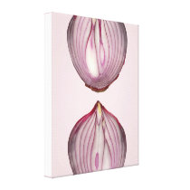 Food - Vegetable - Cross section of a Red Onion canvas prints