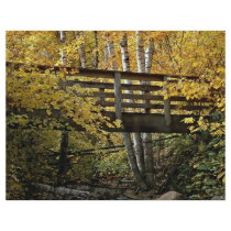 Foot bridge crossing rock bed stream, Minnesota Flyer