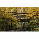 Foot bridge crossing rock bed stream, Minnesota