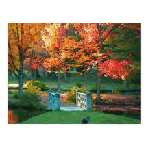 Foot Bridge in Fall Post Card