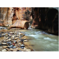 Foot Like Rock In Zion Narrows photo sculptures