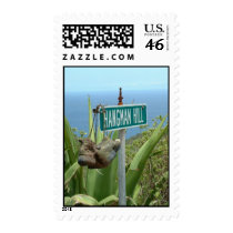 foot post postage by CHOLOEPUS foot post postage