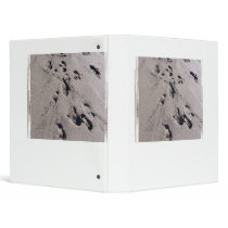 Foot prints in wet beach sand towards viewer binder