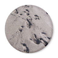 Foot prints in wet beach sand towards viewer magnet