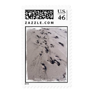 Foot prints in wet beach sand towards viewer stamp