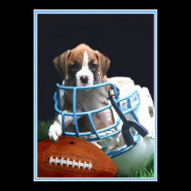 Football boxer puppy poster posters