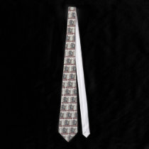 Football Coach Tie ties