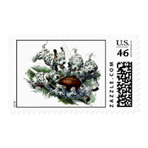 football stamps