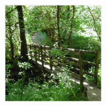Footbridge in Woodland. Acrylic Cut Outs