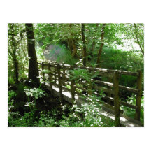 Footbridge in Woodland. Post Card