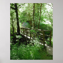 Footbridge in Woodland. Print