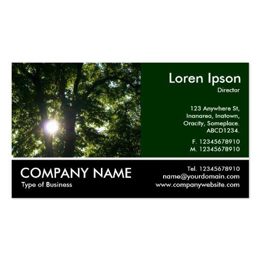 Footed Photo - Dk Green - Sun Through Trees Business Card (front side)