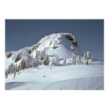 Footmarks In The Snow Personalized Announcements