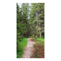 footpath on forest picture card