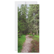 footpath on forest custom rack cards