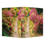Footpath with azaleas binders