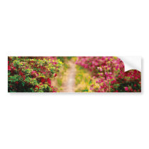 Footpath with azaleas bumper sticker