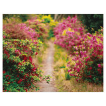 Footpath with azaleas flyer design