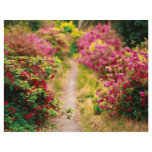 Footpath with azaleas flyers