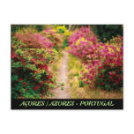 Footpath with azaleas post card