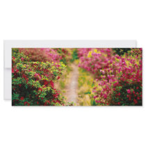 Footpath with azaleas custom rack card