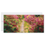 Footpath with azaleas custom rack card