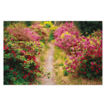 Footpath with azaleas stationery