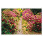 Footpath with azaleas stationery