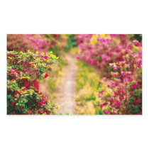 Footpath with azaleas sticker