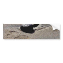 Footprint At Ocean Beach bumper stickers by lifesphere Footprint At Ocean Beach bumper stickers