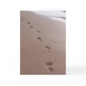 Footprints Blank Greeting Card by anitahavel Footprints Blank Greeting Card