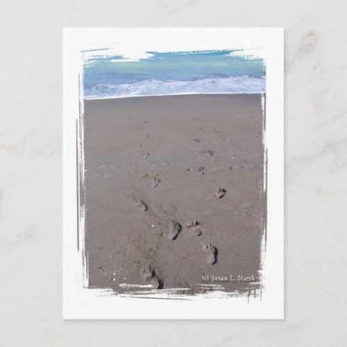 Footprints in beach sand blue ocean in back postcard