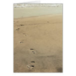 Footprints In Sand Blank Greeting Card Template cards