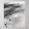 Footprints in Snow