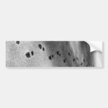 Footprints in Snow Bumper Sticker