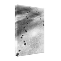 Footprints in Snow canvas prints