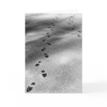 Footprints in Snow Card