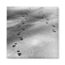 Footprints in Snow magnets